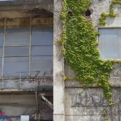 Diverse uiteenlopende betonschade bij een oud fabrieksgebouw.