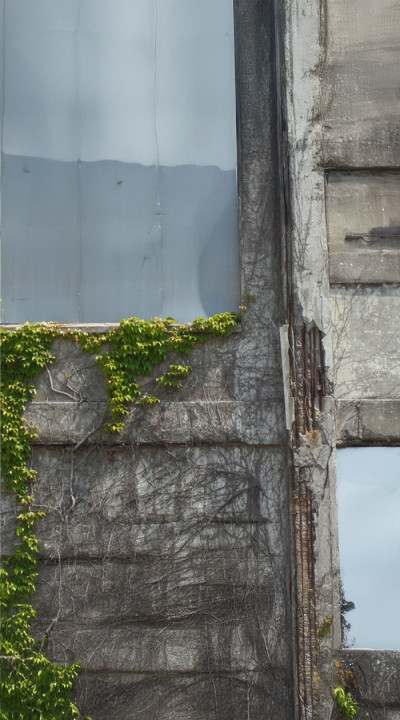 Concrete care