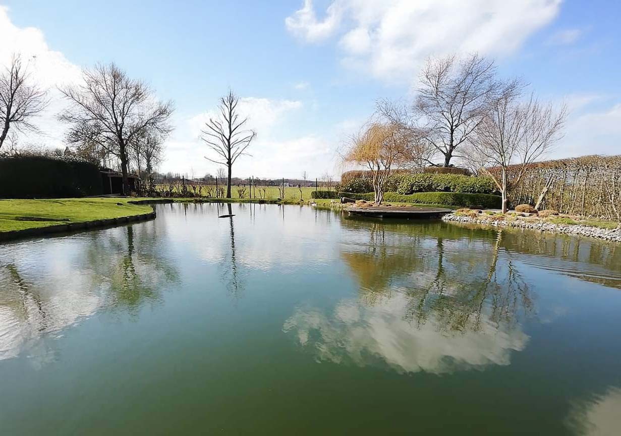 Natuurlijke vijver geopool